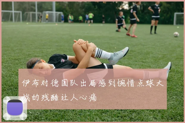 伊布对德国队出局感到惋惜点球大战的残酷让人心痛