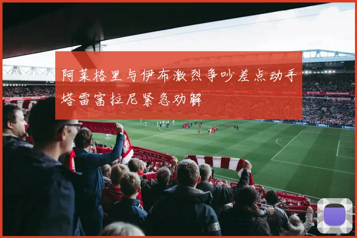 阿莱格里与伊布激烈争吵差点动手塔雷富拉尼紧急劝解