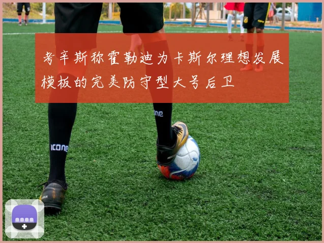 考辛斯称霍勒迪为卡斯尔理想发展模板的完美防守型大号后卫